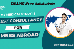 Best Consultancy for MBBS Abroad